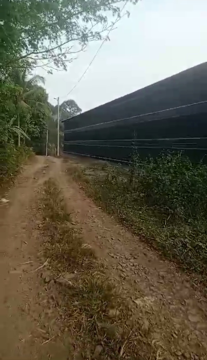 Ada dugaan bahwa kandang ayam tanpa izin yang berada di kampung Monggor