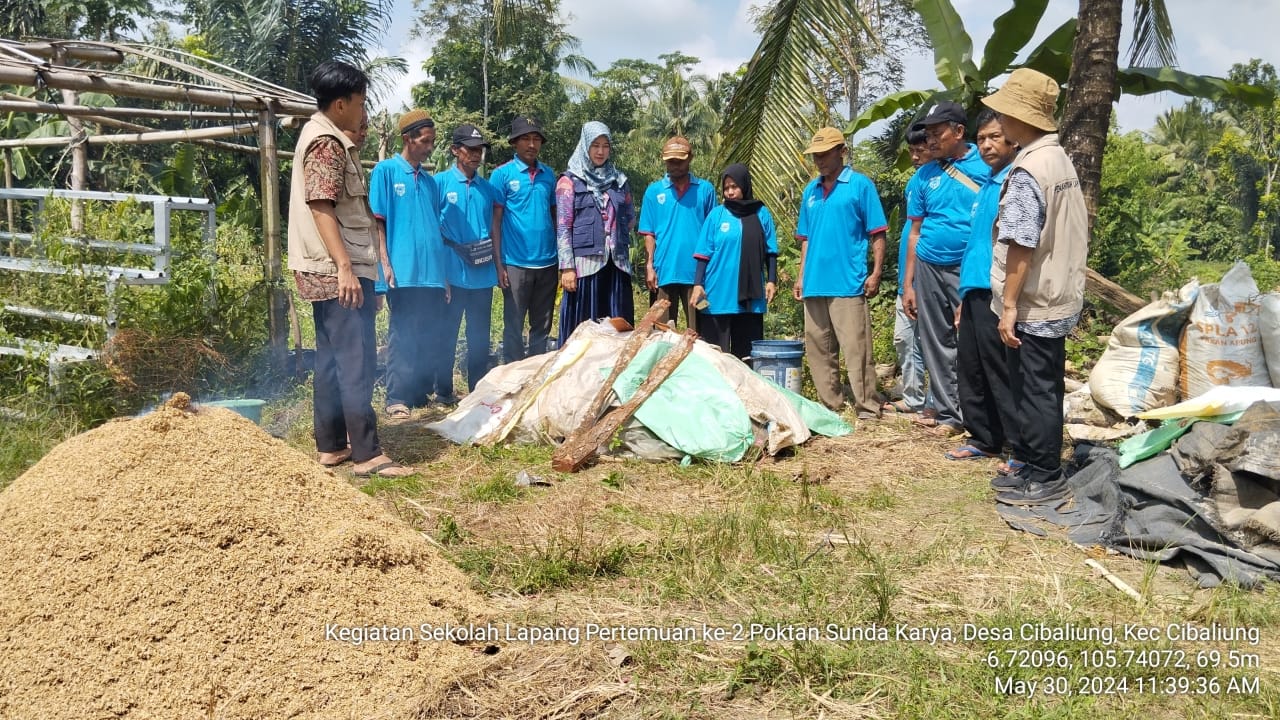 DPKP Pandeglang Bina 27 Kelompok Tani Lewat Sekolah Lapangan(SL)