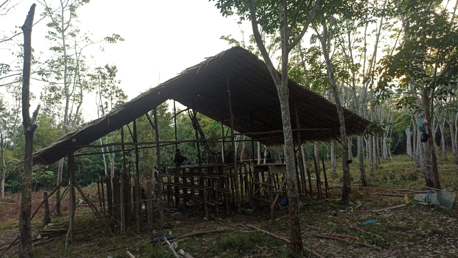 Pembangunan Kandang Ayam di Desa Tempirai PALI, Diduga Banyak Melanggar Undang Undang